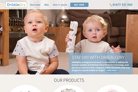 Ecommerce website for DribbleDry.